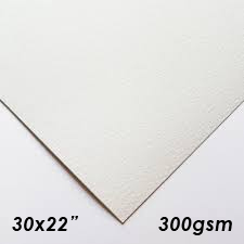 Bockingford 30x22'' Watercolour Rough 300gsm Paper - 25 Sheets